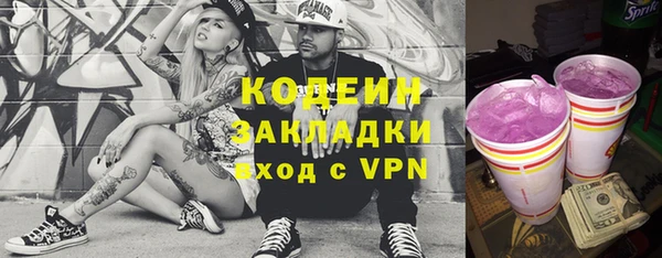 шишки Сясьстрой