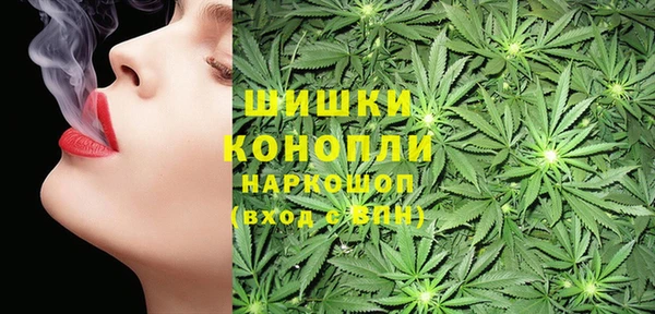 шишки Сясьстрой