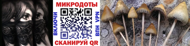 Псилоцибиновые грибы Magic Shrooms  кракен как войти  Гремячинск 